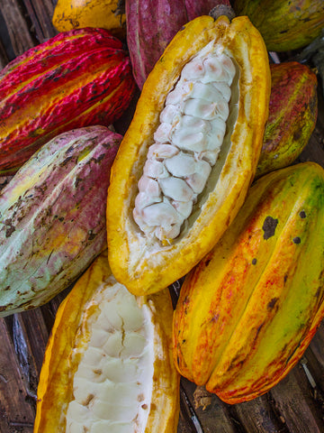 POD TOUR & CHOCOLATEMAKING - 90 MIN FARM TO BAR TOUR - Co Chocolat - Finally, Truly Healthy Chocolates